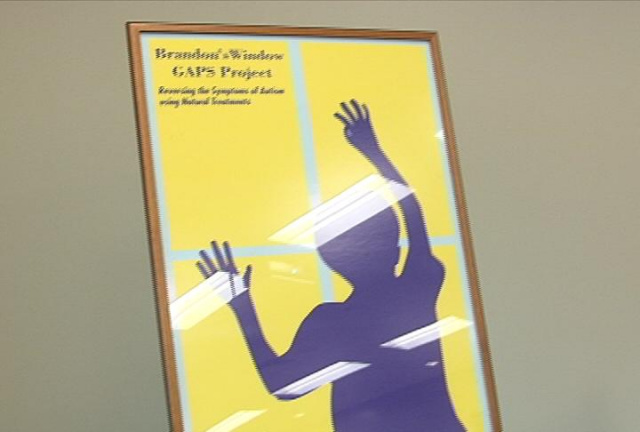 The Brandon's Window GAPS Project (Logo)